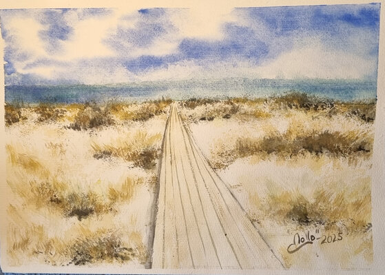 R66.Falsterbo